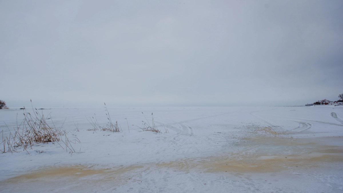 Финский залив теряет ледяной панцирь: процесс разрушения продолжается, сообщил Александр Колесов - tvspb.ru