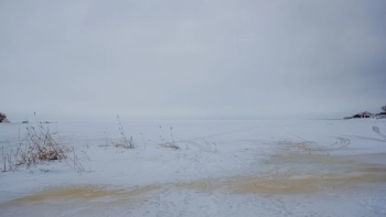 Финский залив теряет ледяной панцирь: процесс разрушения продолжается, сообщил Александр Колесов