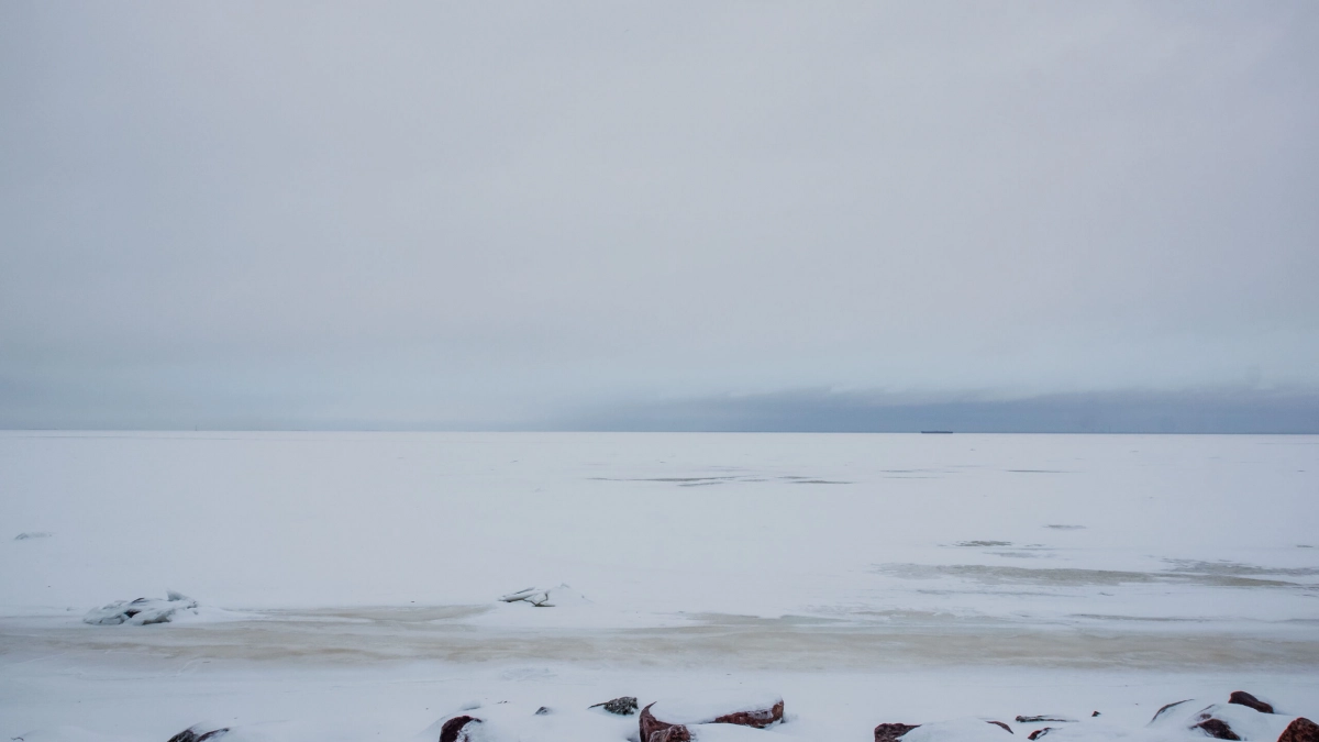 15 рыбаков спасают на льду Финского залива в Кингисеппском районе - tvspb.ru