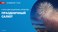 Небо над Петербургом озарил салют в честь Дня защитника Отечества