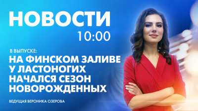 Новости Петербурга к 10:00