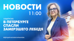 Новости Петербурга к 11:00