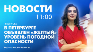 Новости Петербурга к 11:00