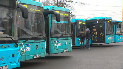 Петербургские автобусы пустят по псковским улицам