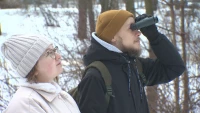 В ЦПКиО имени Кирова петербуржцы пересчитали птиц на орнитологической экскурсии