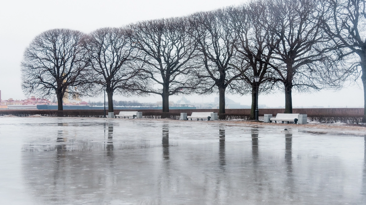 Переходный сезон: Петербург в конце февраля ждут метели, дождь и слякоть - tvspb.ru