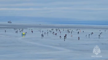 В Финском заливе спасли 35 рыбаков на оторвавшейся льдине