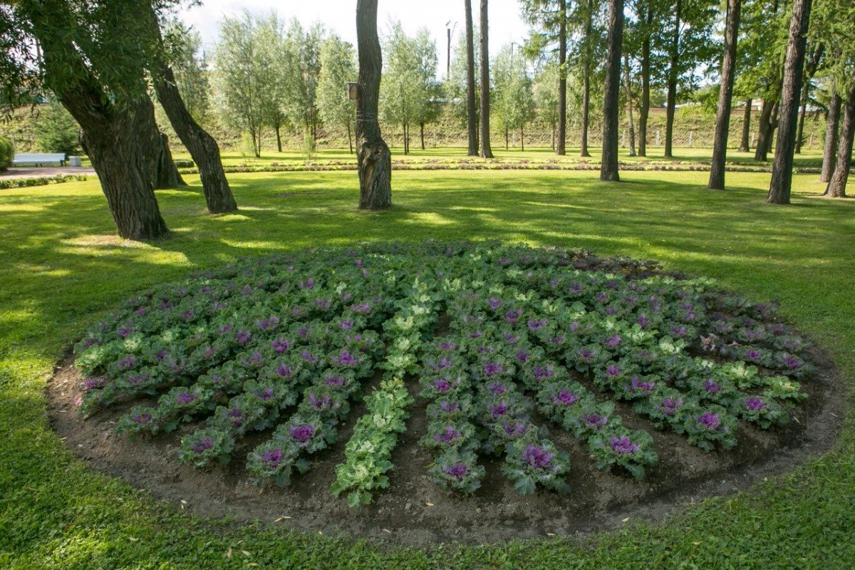 В Выборгском районе в 2024 году будет благоустроен Литовский сад - tvspb.ru