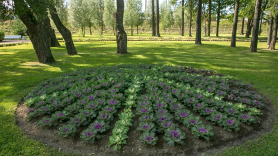 В Выборгском районе в 2024 году будет благоустроен Литовский сад