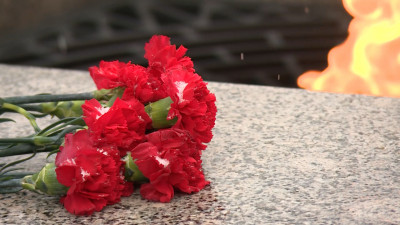 Больше миллиона петербуржцев в возрасте до 35 лет участвуют в патриотических проектах