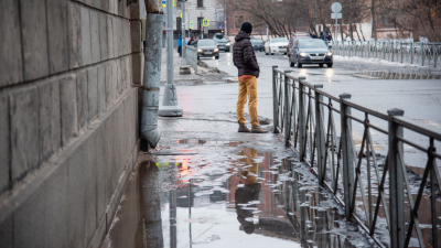 Мокрый снег и гололед: петербуржцев предупредили об ухудшении погоды