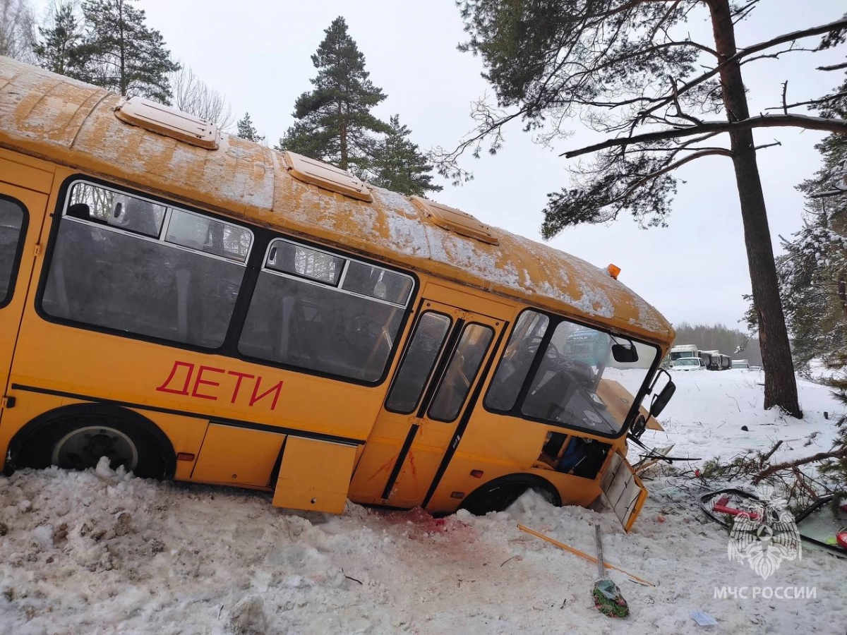 Автобус с детьми улетел в кювет под Псковом, пострадали 17 человек - tvspb.ru