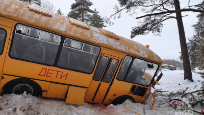 Автобус с детьми улетел в кювет под Псковом, пострадали 17 человек