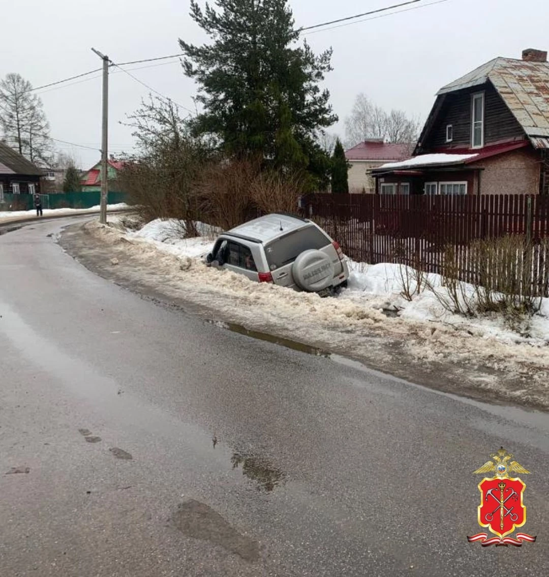 Пожилые одногодки на машинах Suzuki устроили две смертельные аварии в Ленобласти - tvspb.ru