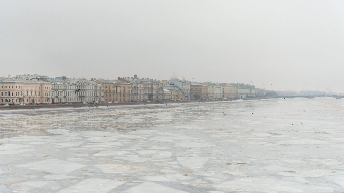 20 января на Петербург опустится туман - tvspb.ru