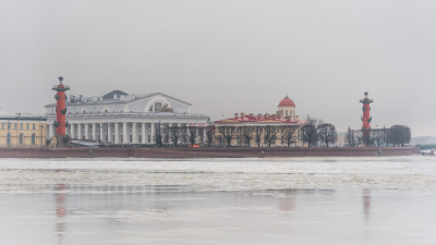 В первый день весны в Петербурге потеплеет до +5 градусов