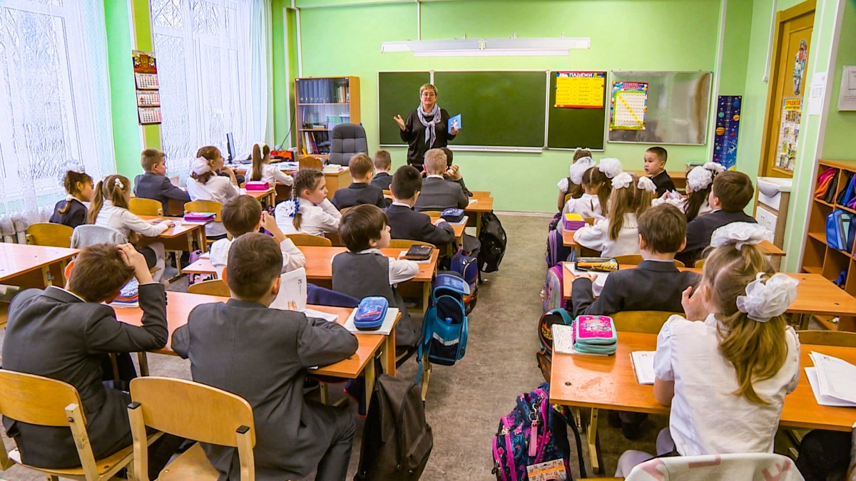 Из программы 6-8 классов уберут обществознание с сентября 2025 года - tvspb.ru