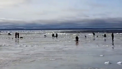 Под Петербургом от берега оторвалась льдина с 35 рыбаками
