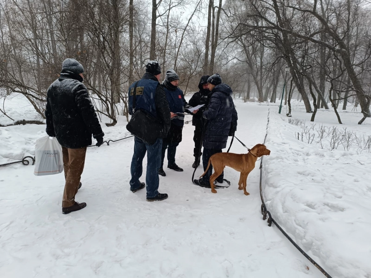 Петербуржцев оштрафовали за неправильный выгул собак в Таврическом саду - tvspb.ru
