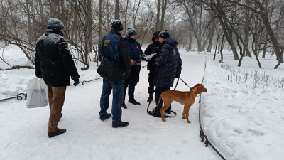 Петербуржцев оштрафовали за неправильный выгул собак в Таврическом саду