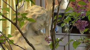 Зимнее цветение сирени в Царском Селе