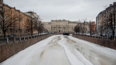 Первые подснежники уже не замёрзнут: какая погода ждёт петербуржцев на следующей неделе