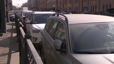 Петербуржцы с инвалидностью смогут бесплатно пользоваться платными парковками своего района