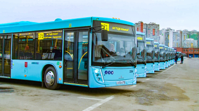 В этом году в Петербург «приехали» 98 новых автобусов, 9 троллейбусов и 30 трамваев