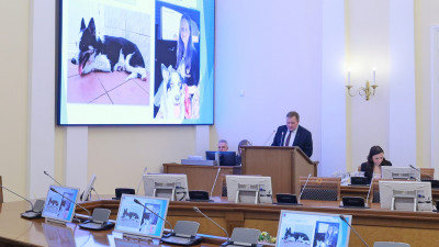 Смольный выделит на приюты для животных почти 5 миллионов рублей