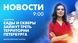 Новости Петербурга к 9:00