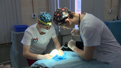 В Петербурге проходит международная олимпиада по нейрохирургии