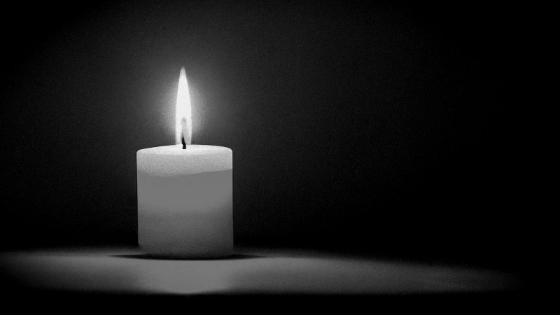 Помощница директора группы «Пикник» погибла во время теракта в «Крокус Сити Холле» - tvspb.ru