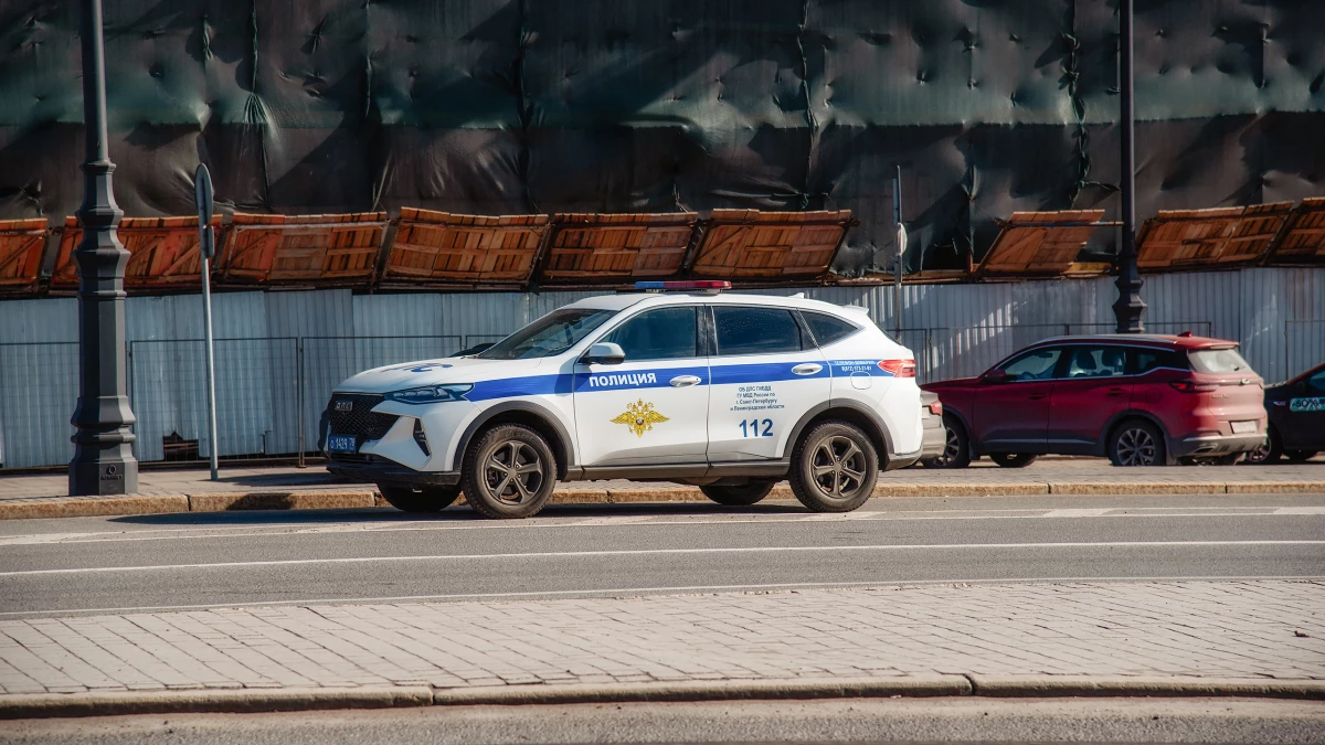 Полиция нашла мошенницу, которая выдавала себя за кинолога, помогавшего искать пострадавших в «Крокус Сити Холле» - tvspb.ru