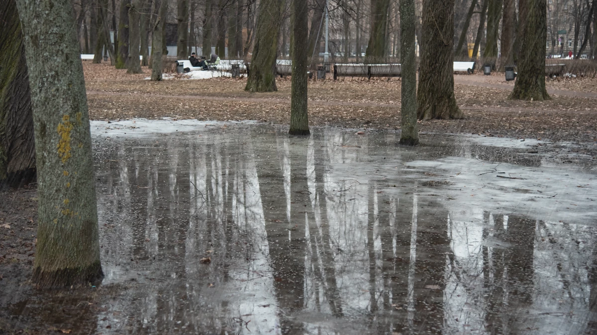 8 марта в Ленобласти будет дождливо - tvspb.ru