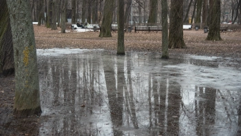 6 апреля в Ленобласти пойдёт мокрый снег с дождём