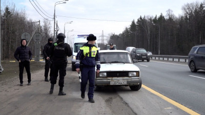 Под Петербургом полиция провела тотальную проверку на транспортных магистралях