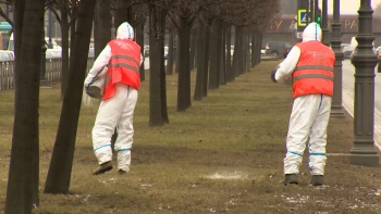 Удобрения для липовой аллеи на Московском проспекте подбирают специалисты