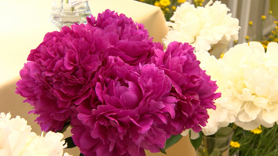 Больше четверти миллиарда срезанных цветов завезли в Россию с начала года