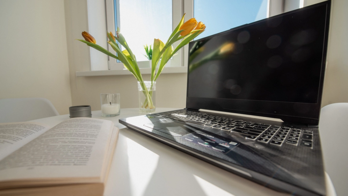 Санкции в отношении безработных: к чему приведет отказ от трудоустройства - tvspb.ru