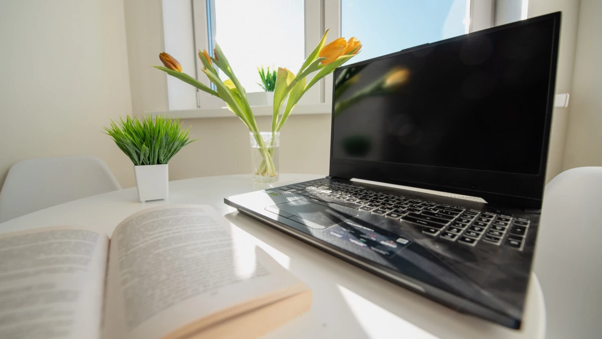 Почти 80% абитуриентов при поступлении в вуз пользовались Госуслугами - tvspb.ru