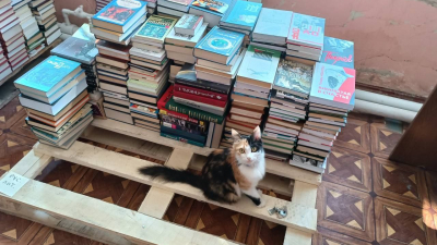 Петербург передал Мариуполю книги на русском языке