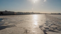 Весна начинается жарко: 11 марта воздух в городе на Неве разогрелся до +10,8 градусов