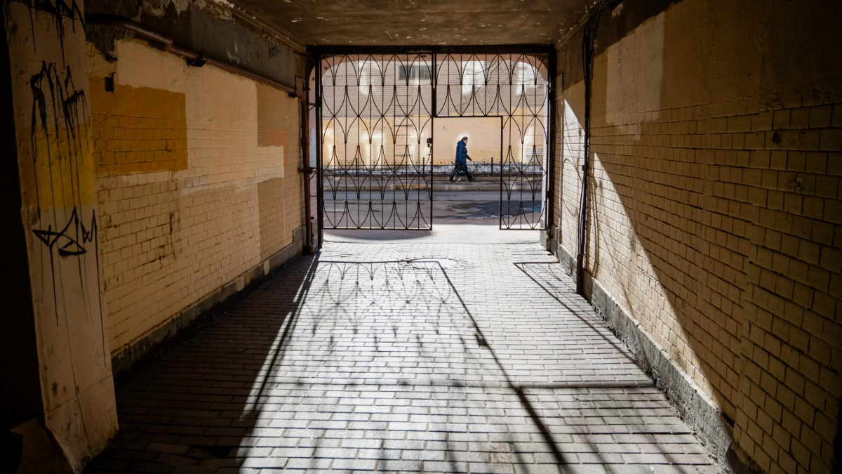 +13 градусов и порывы до 12 м/с ждут жителей Ленобласти 23 марта - tvspb.ru