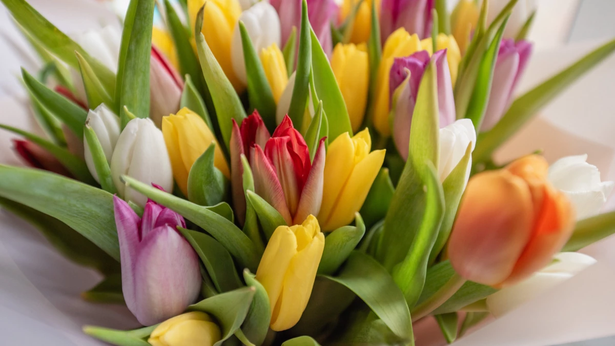 В России предложили заменить 8 марта на День жен-мироносиц - tvspb.ru