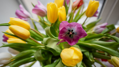 Цветы вместо штрафов: военные поздравили женщин-водителей в ЛНР