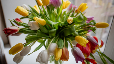 Как россияне будут отдыхать в марте 2026 года