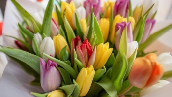 Петербуржцы потратят в среднем 6 тысяч рублей на подарки к 8 Марта