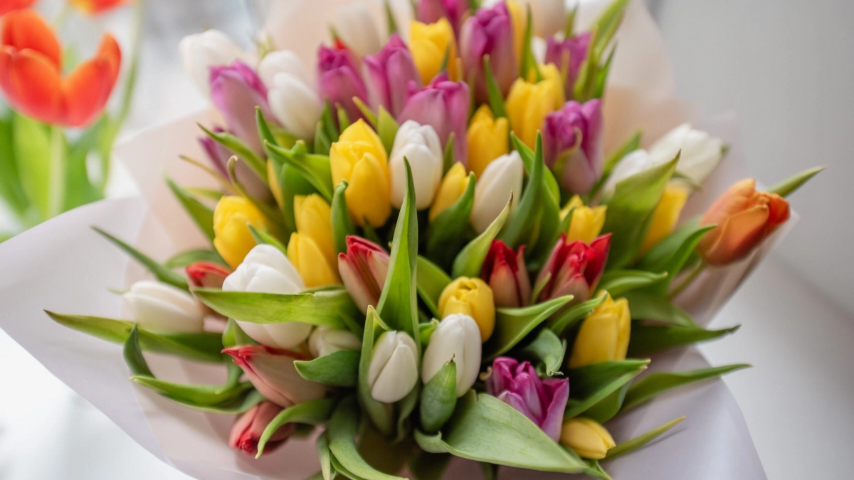 Швабра вместо букета: как россиянки проводят 8 Марта и о чем на самом деле мечтают - tvspb.ru