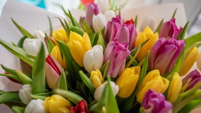 В Госдуме требуют остановить рост цен на цветы перед 8 марта