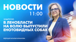 Новости Петербурга к 11:00